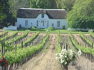 Stellenbosch Wine Region