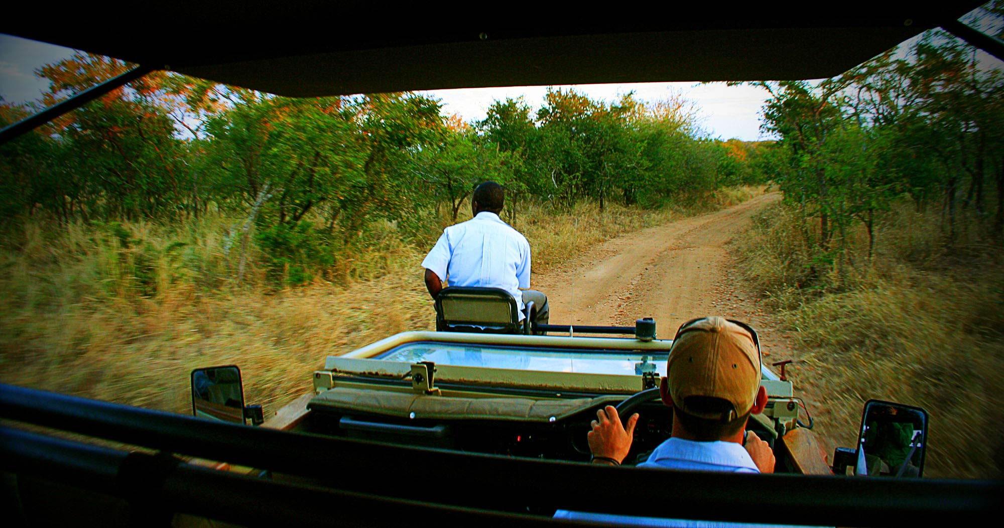 Honeyguide Camp game drive