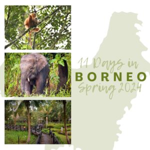 Borneo 2024